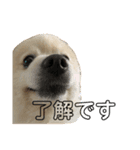 ランジュくんとルイちゃん、シーズン5（個別スタンプ：2）