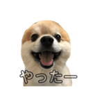 ランジュくんとルイちゃん、シーズン5（個別スタンプ：3）