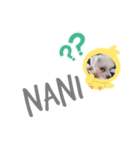 Nemu1（個別スタンプ：2）