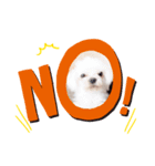 Nemu1（個別スタンプ：5）