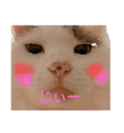 もこちんほか（個別スタンプ：7）
