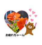 お花で遊ぼう14（個別スタンプ：1）