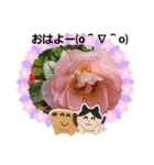 お花で遊ぼう14（個別スタンプ：2）