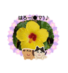 お花で遊ぼう14（個別スタンプ：3）