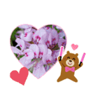 お花で遊ぼう14（個別スタンプ：6）