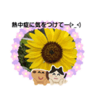お花で遊ぼう14（個別スタンプ：16）