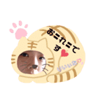 りいぃなちゃん（個別スタンプ：1）