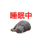 父の名言集4（個別スタンプ：18）
