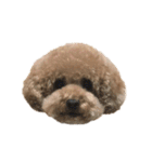 俺の本音②（個別スタンプ：32）