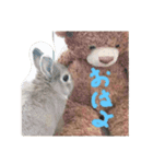 可愛いポター君（個別スタンプ：2）
