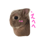 可愛いポター君（個別スタンプ：16）