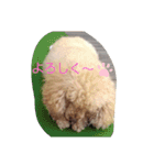 まいちん2（個別スタンプ：2）