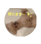 まいちん2（個別スタンプ：7）