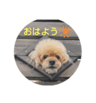 まいちん2（個別スタンプ：9）