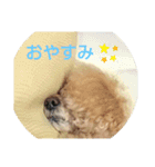 まいちん2（個別スタンプ：11）
