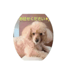 まいちん2（個別スタンプ：12）