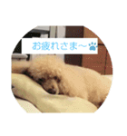 まいちん2（個別スタンプ：14）