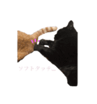 加藤家のけものたち（個別スタンプ：1）