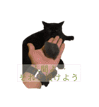 加藤家のけものたち（個別スタンプ：11）