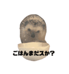 加藤家のけものたち（個別スタンプ：16）