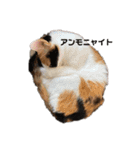 加藤家のけものたち（個別スタンプ：24）