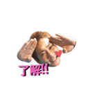 OSC スタンプ☆（個別スタンプ：1）