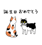 うちの子 はちわれねこ2 筆ペンタッチの（個別スタンプ：25）