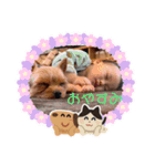 暖☆其の壱（個別スタンプ：7）