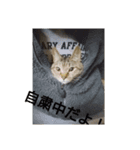 可愛友達～（個別スタンプ：5）