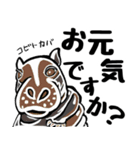 絶滅危惧種 でか文字（個別スタンプ：11）