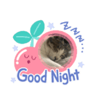 えこちやん（個別スタンプ：3）