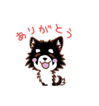 黒＆白チワワ（個別スタンプ：1）