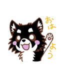 黒＆白チワワ（個別スタンプ：4）