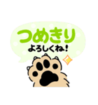 お散歩やごはんのお願い・連絡に♪（個別スタンプ：5）