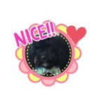 シープー！！（個別スタンプ：3）