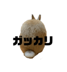 うさぎさんのこむぎ⑤-2（個別スタンプ：6）