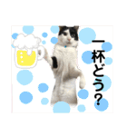 やんくんですよ（個別スタンプ：3）