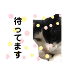 やんくんですよ（個別スタンプ：26）