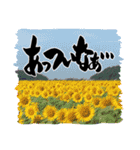 お習字スタンプ・其の弐（個別スタンプ：24）