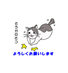 ココの夏のあいさつスタンプ（個別スタンプ：7）