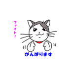 ココの夏のあいさつスタンプ（個別スタンプ：9）