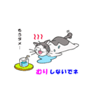 ココの夏のあいさつスタンプ（個別スタンプ：22）