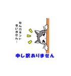 ココの夏のあいさつスタンプ（個別スタンプ：23）