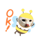 仲良し3兄弟猫（個別スタンプ：2）