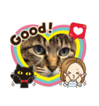 仲良し3兄弟猫（個別スタンプ：10）