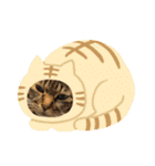 仲良し3兄弟猫（個別スタンプ：11）