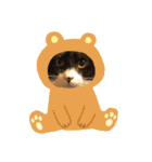 仲良し3兄弟猫（個別スタンプ：13）