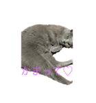 くーちゃんの日常①（個別スタンプ：3）