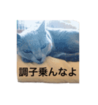 くーちゃんの日常①（個別スタンプ：16）