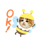 うちのうちのやくも（個別スタンプ：16）